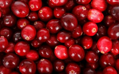 Ihr Nutzen ist nachgewiesen:  Cranberry-Präparate helfen gegen wiederkehrende Blasenentzündung